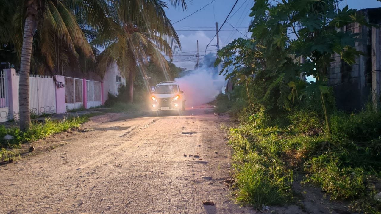 Erik Rihani refuerza fumigación y abatización en Progreso