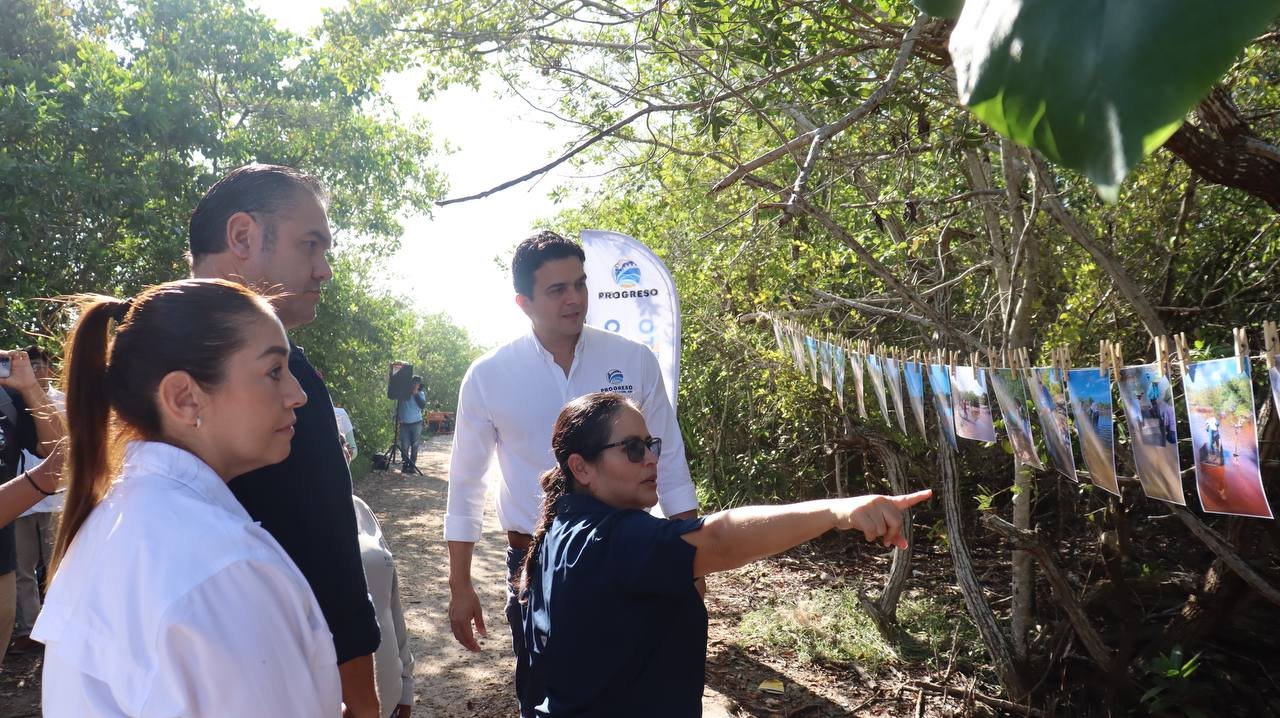 Rihani González entrega trabajos de restauración de manglar en Progreso