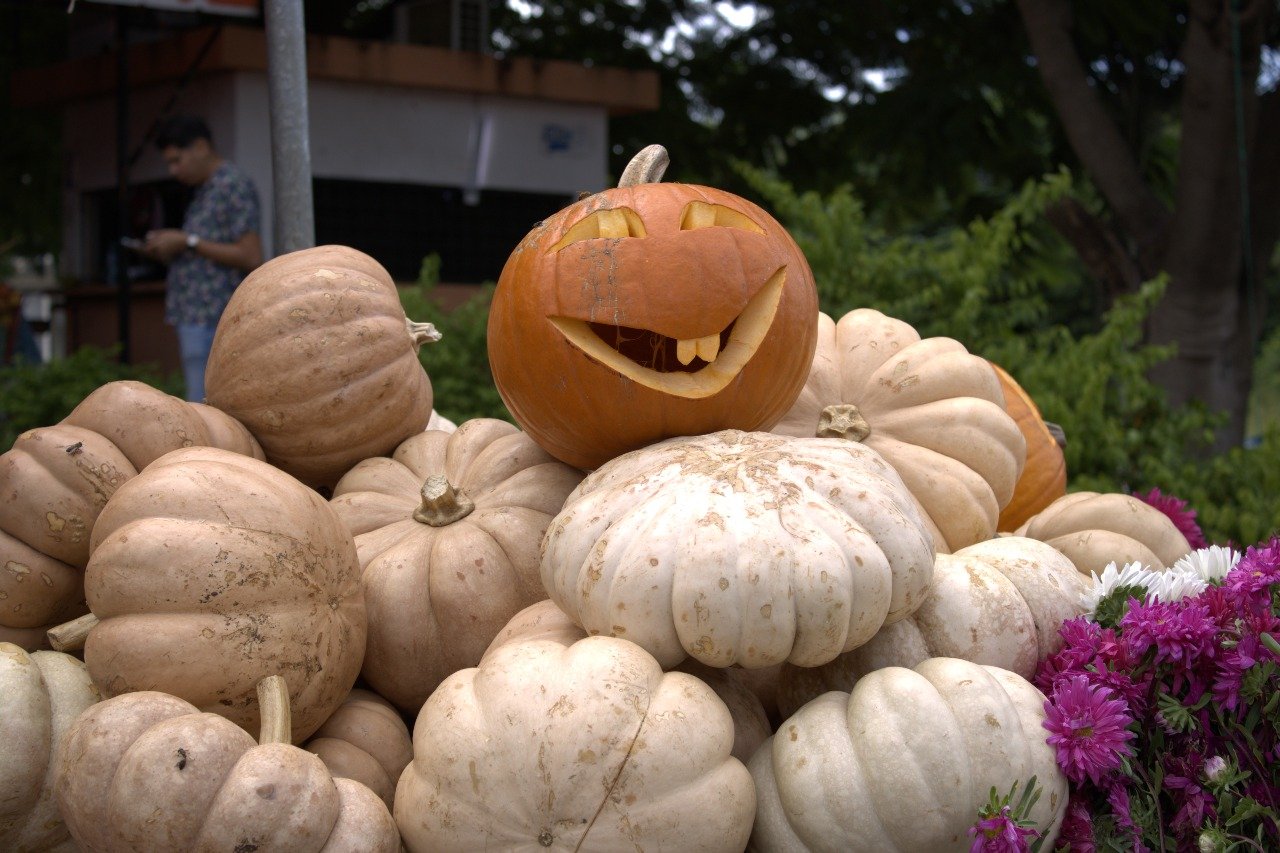 Arranca el Tianguis de las Ánimas en la Central de Abastos