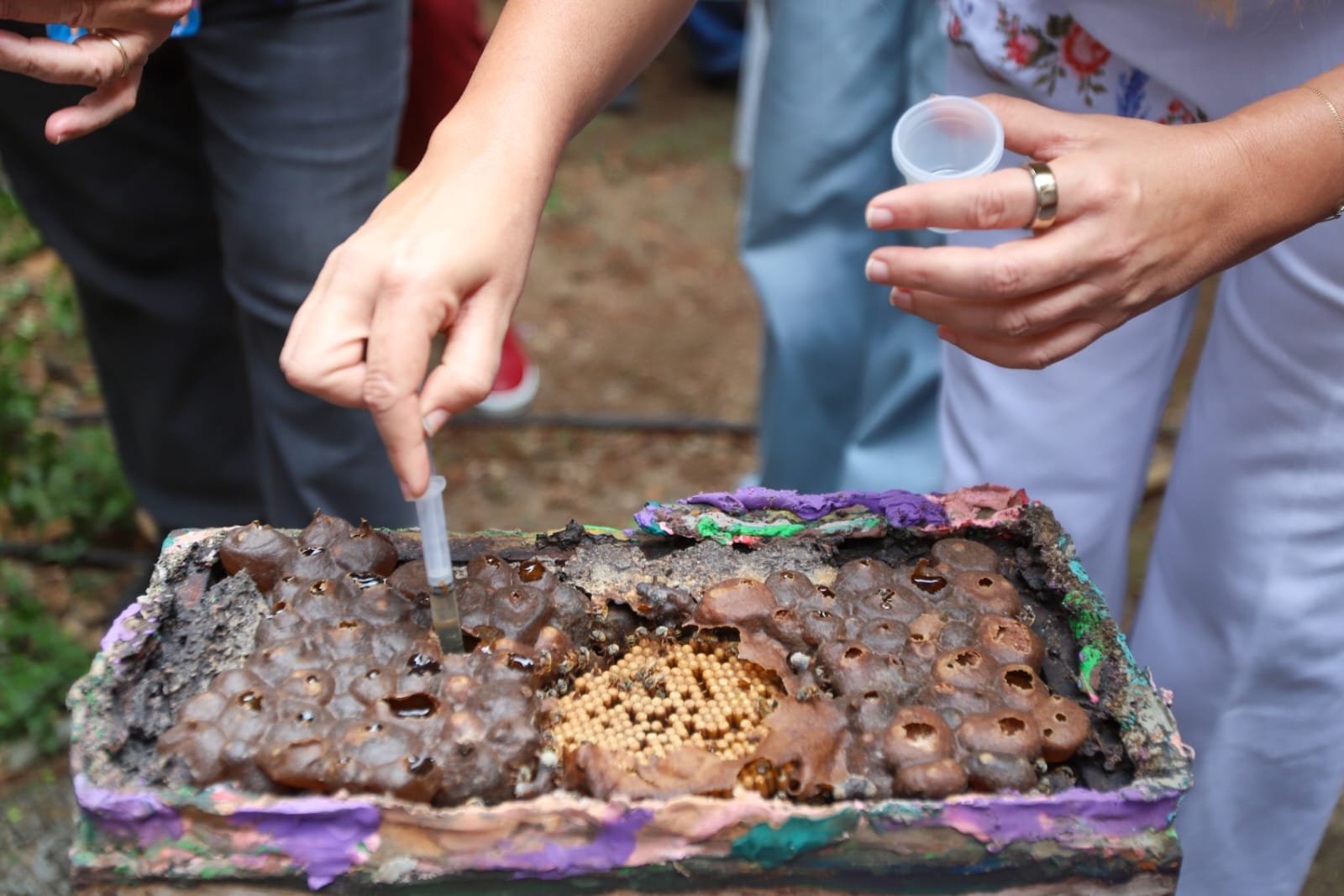 Cecilia Patrón destaca la preservacion de la apicultura en Chablekal.
