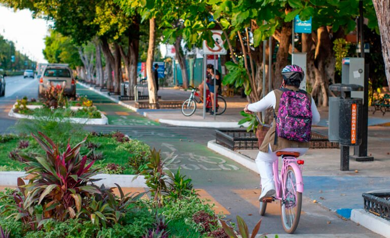 Paseo de montejo16186022208916