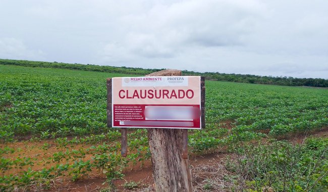 Profepa clausura post_Camb_uso_suelo_Yucata_n_01