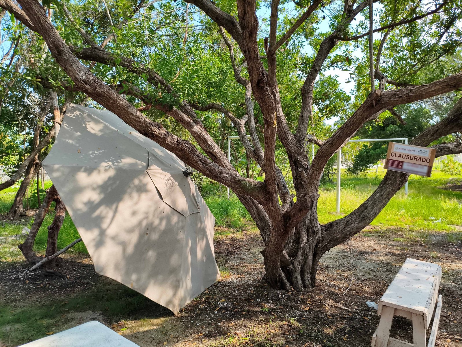 Profepa ataca de nuevo y clausura 3 predios en Celestún 