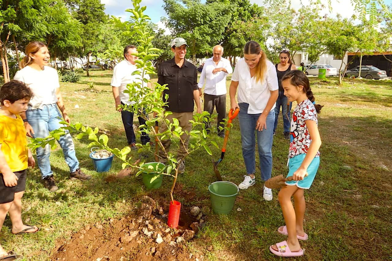 Avanza Cecilia Patrón con la reforestación en Mérida