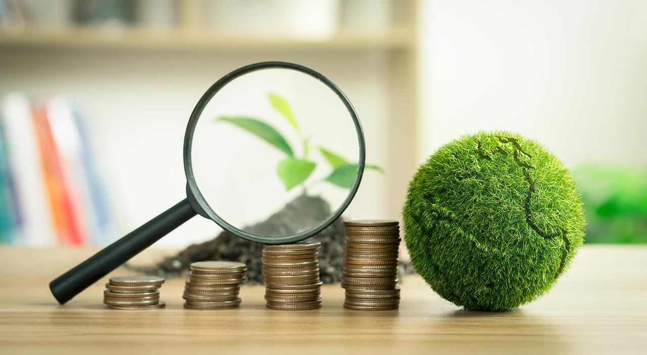 ¿Quién debe pagar por todo este des… orden? -Editorial-