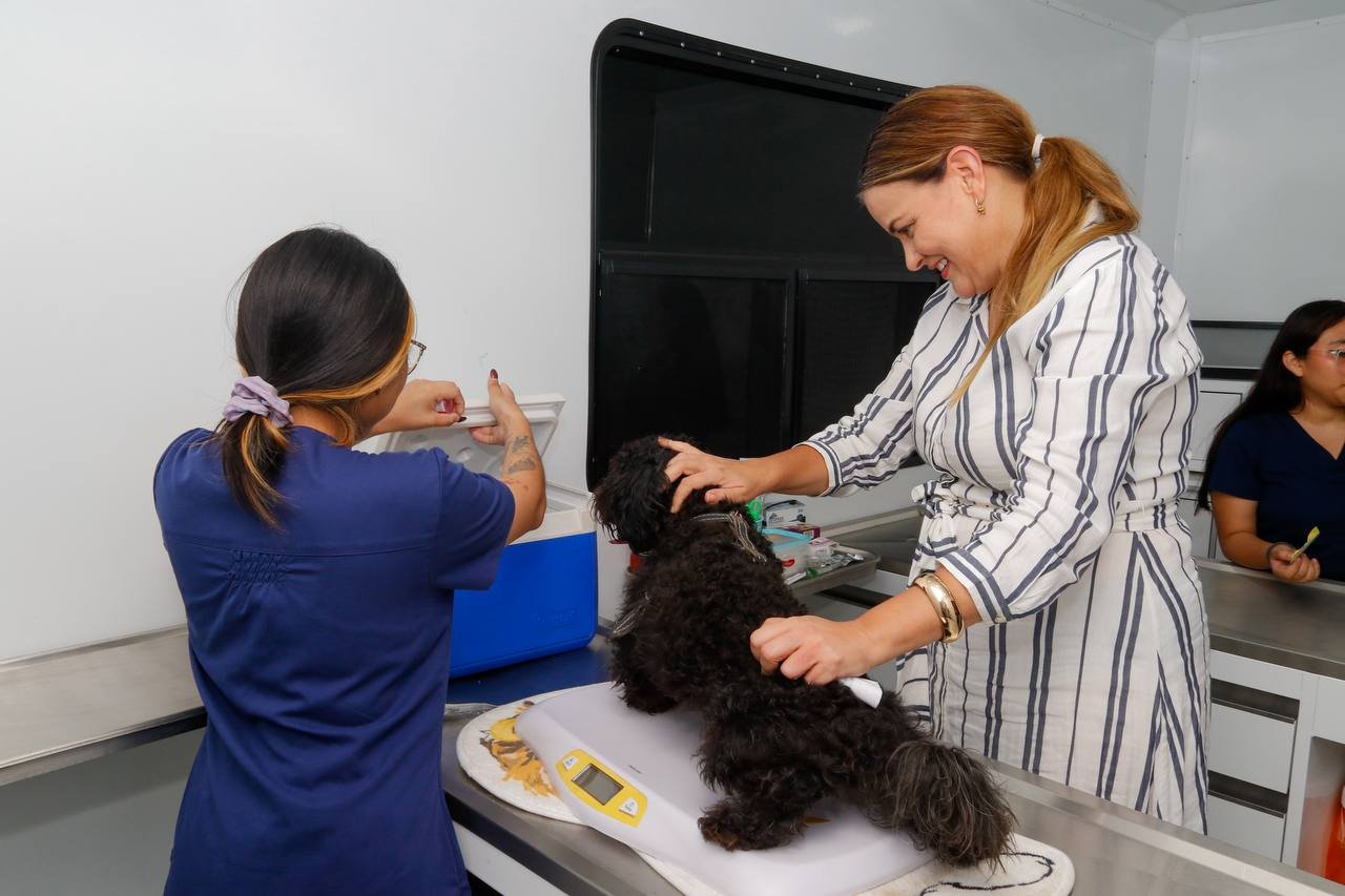 Ayuntamiento de Mérida fortalece el bienestar animal con campaña de esterilización