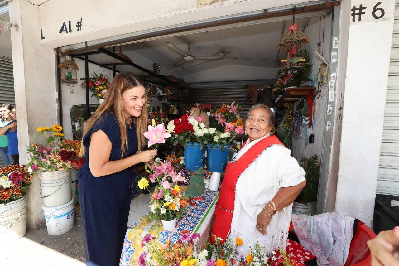 Cada vez más espacios públicos con Internet gratuito en Mérida: Cecilia Patrón.