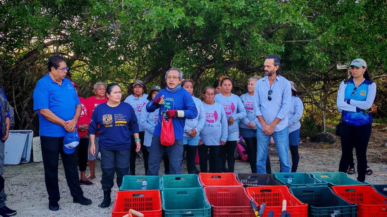 Progreso refuerza acciones para recuperar el manglar