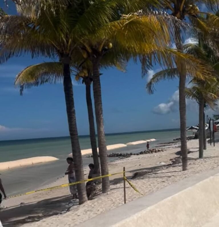 progreso costas 25589733899_1414703533555427_84760594966080695_n