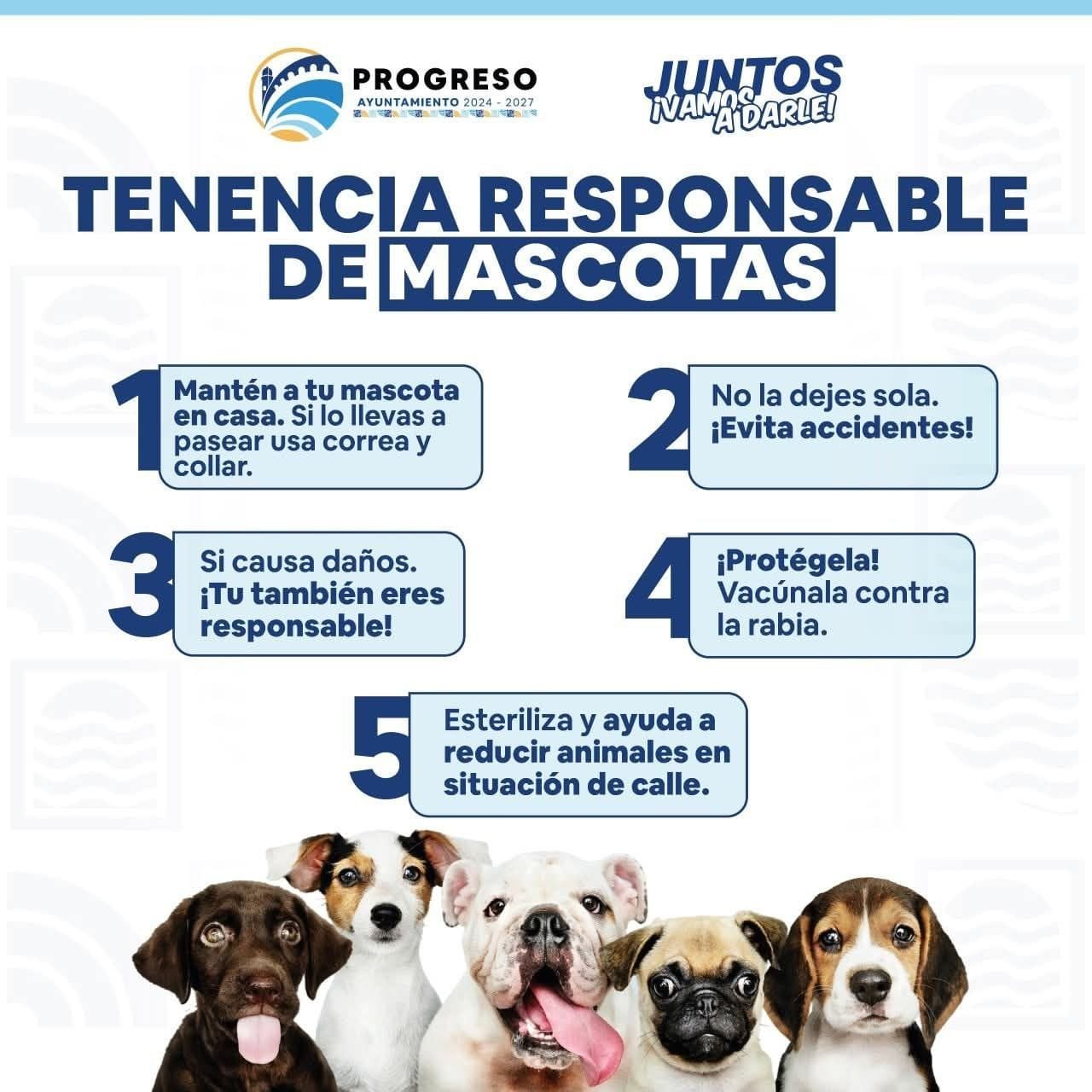 Tenencia responsable: Progreso intensifica acciones de bienestar animal