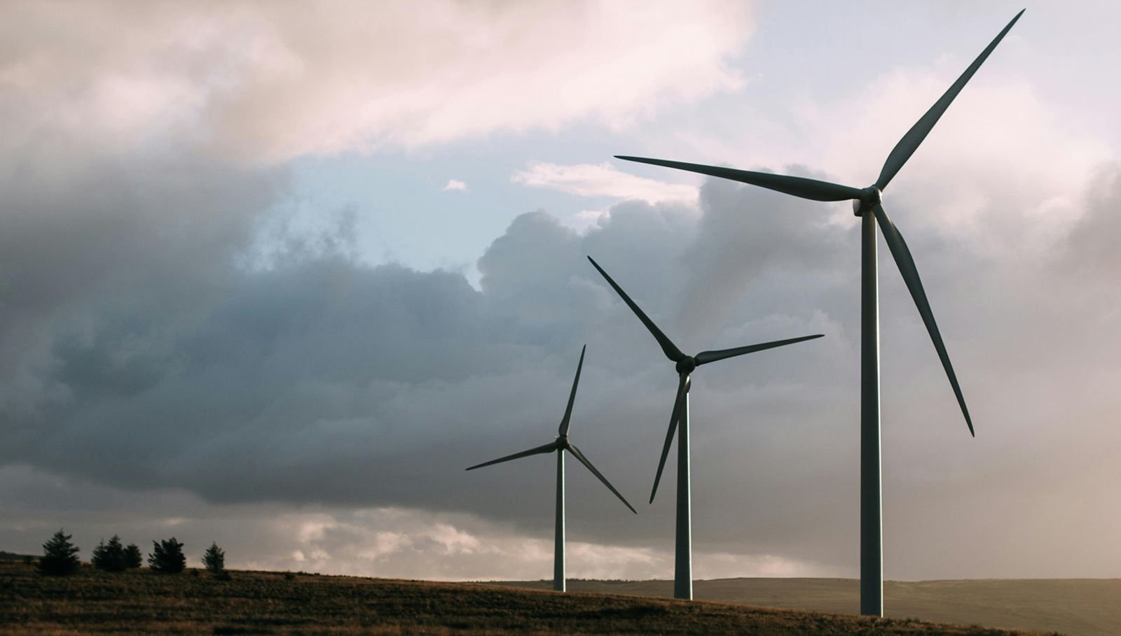 Cuando la energía conozca a la Web3 -Editorial-