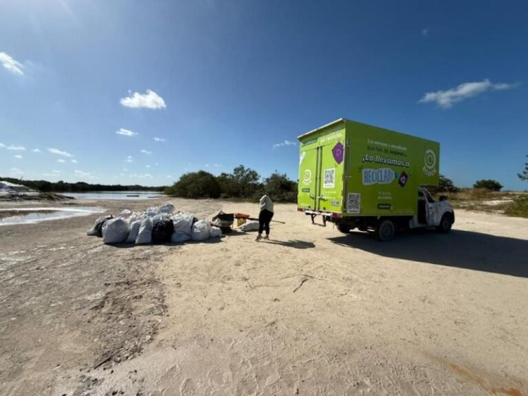 limpieza de playas 2510103_2_305