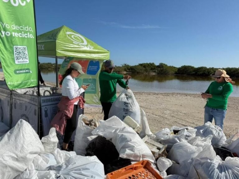 Voluntarios y municipios retiran 33 toneladas de basura de playas yucatecas