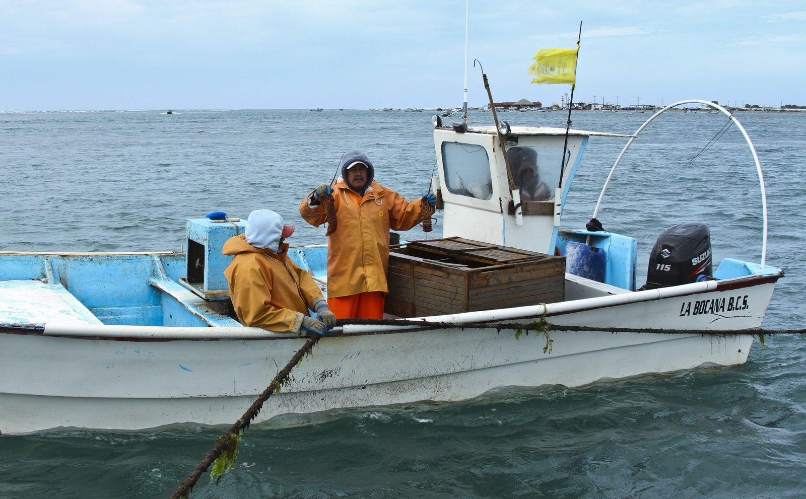 Calentamiento del mar pone en riesgo pesquerías mexicanas