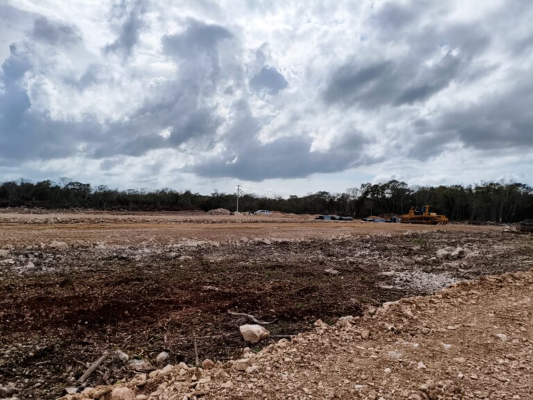 Profepa tala615879660_1282761283876831_5227314010102931382_n