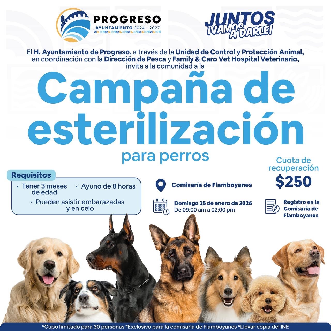 Erik Rihani impulsa campaña de esterilización canina en Flamboyanes