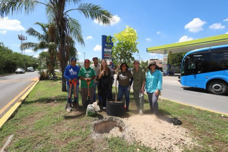 4be1339c-4a58-45bf-a588-78ccc335d888