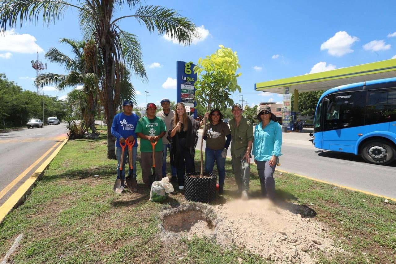 Presenta Cecilia Patrón actualización del Plan de Infraestructura Verde.