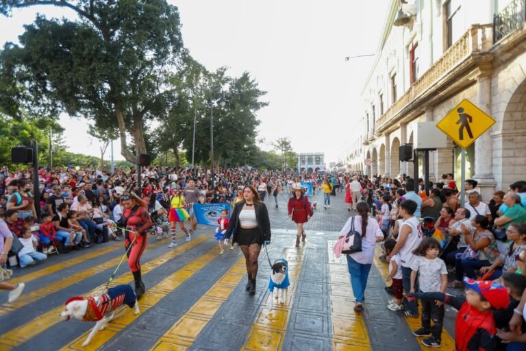 801169a7-57b1-4308-804c-bc2162c3d236