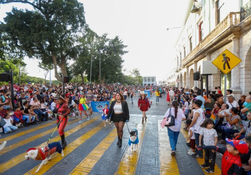 801169a7-57b1-4308-804c-bc2162c3d236