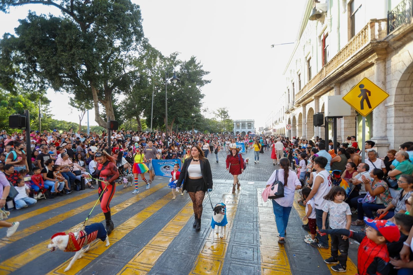 El carnaval lo hace la comunidad. Gracias a la niñez meridana: Cecilia Patrón.