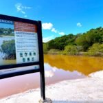 San CrisantoWhatsApp Image 2026-02-03 at 6.34.40 PM-4