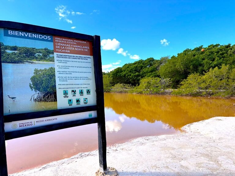 San CrisantoWhatsApp Image 2026-02-03 at 6.34.40 PM-4