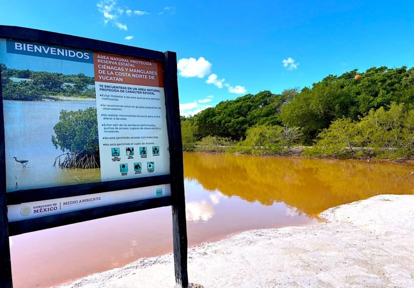 San CrisantoWhatsApp Image 2026-02-03 at 6.34.40 PM-4