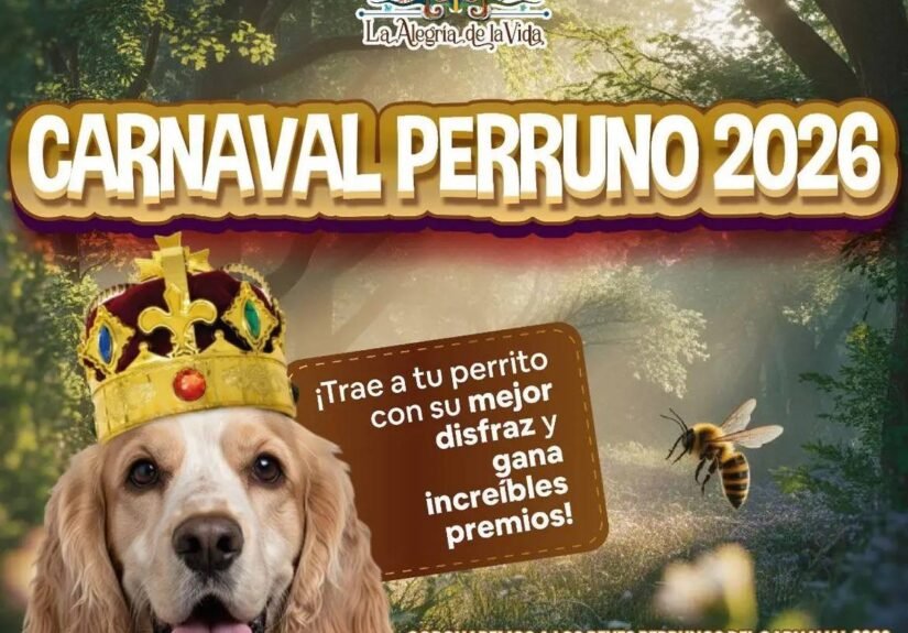 ada50bf0-73f9-4664-bfd3-d3a462e19627