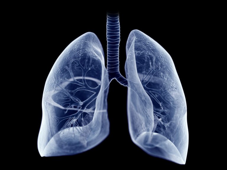 pulmones