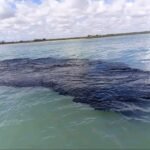 657153759_1418017983671265_6974323436094338568_n