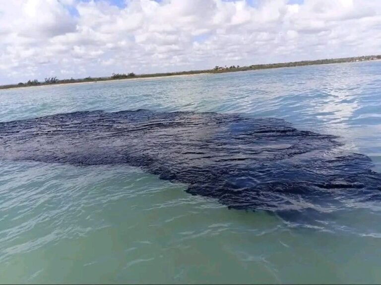 657153759_1418017983671265_6974323436094338568_n