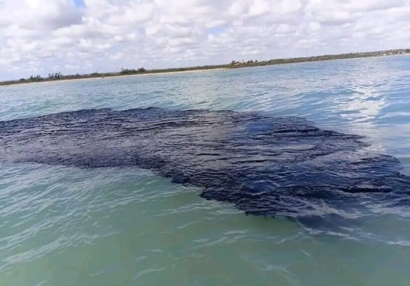 657153759_1418017983671265_6974323436094338568_n