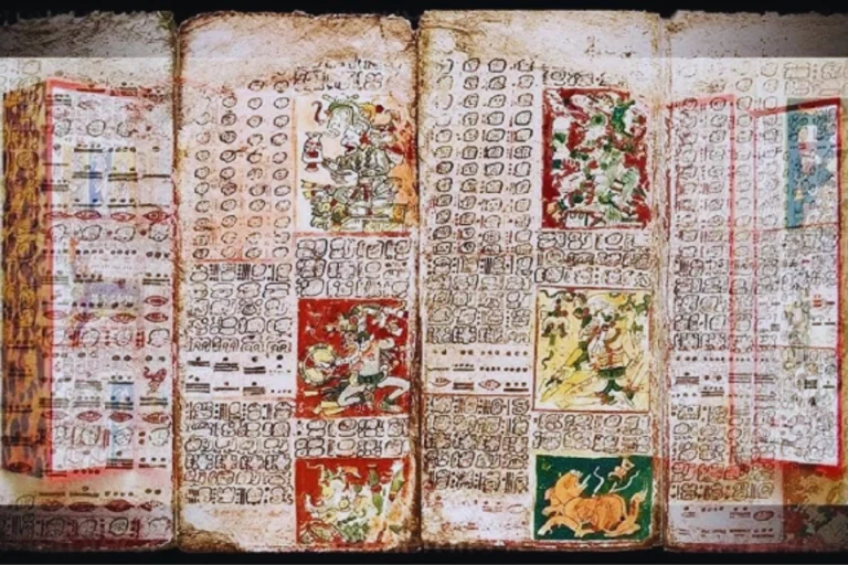 Codice DresdenDiseno-sin-titulo-21-2.jpg