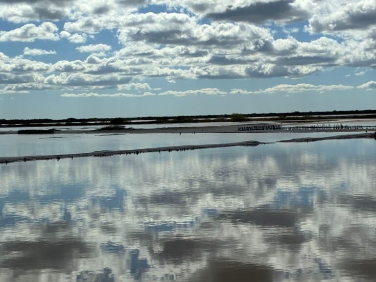 San CrisantoWhatsApp Image 2026-02-03 at 6.34.40 PM