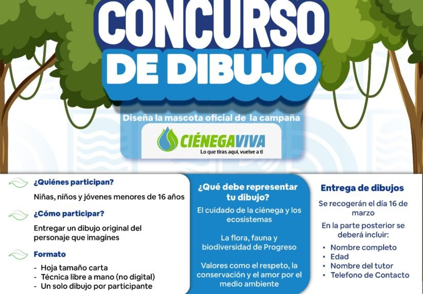 WhatsApp Image 2026-03-08 at 8.46.55 PM