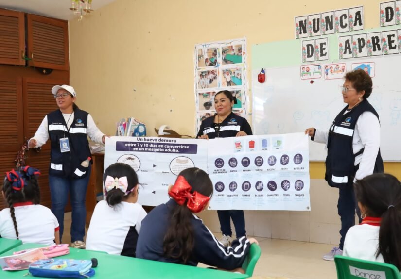 WhatsApp Image 2026-03-24 at 20.42.25