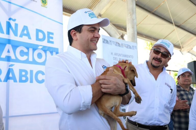 WhatsApp Image 2026-03-25 at 21.30.03