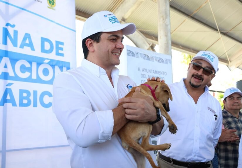 WhatsApp Image 2026-03-25 at 21.30.03