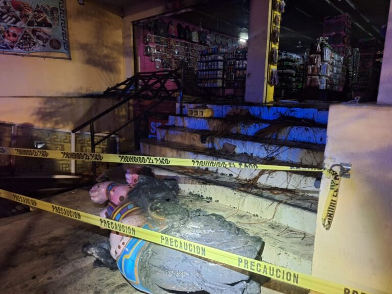 WhatsApp Image 2026-03-27 at 20.36.53