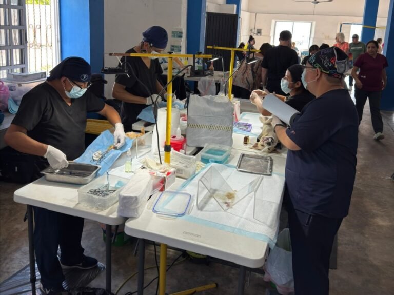 WhatsApp Image 2026-03-31 at 21.56.29