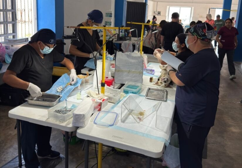 WhatsApp Image 2026-03-31 at 21.56.29