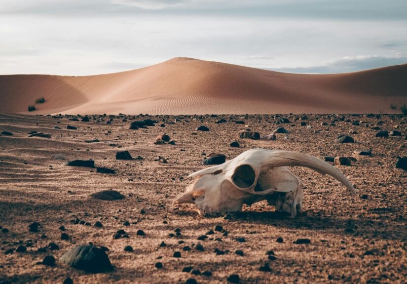 desierto