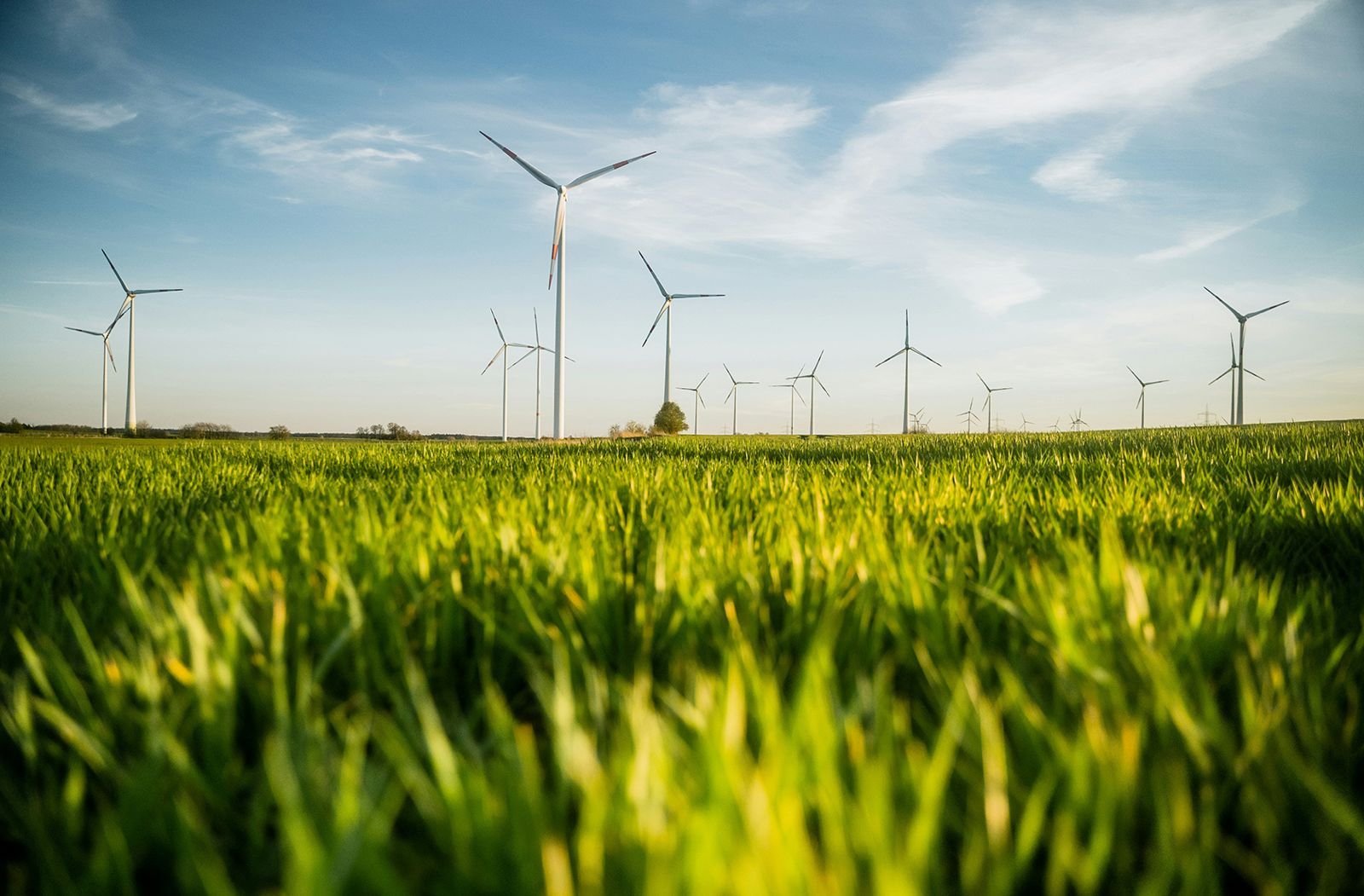 Gobiernos subnacionales y transición energética, construir lo posible -Editorial-