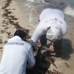 fbe928d5-9453-4146-8a2c-a0b153157ad4