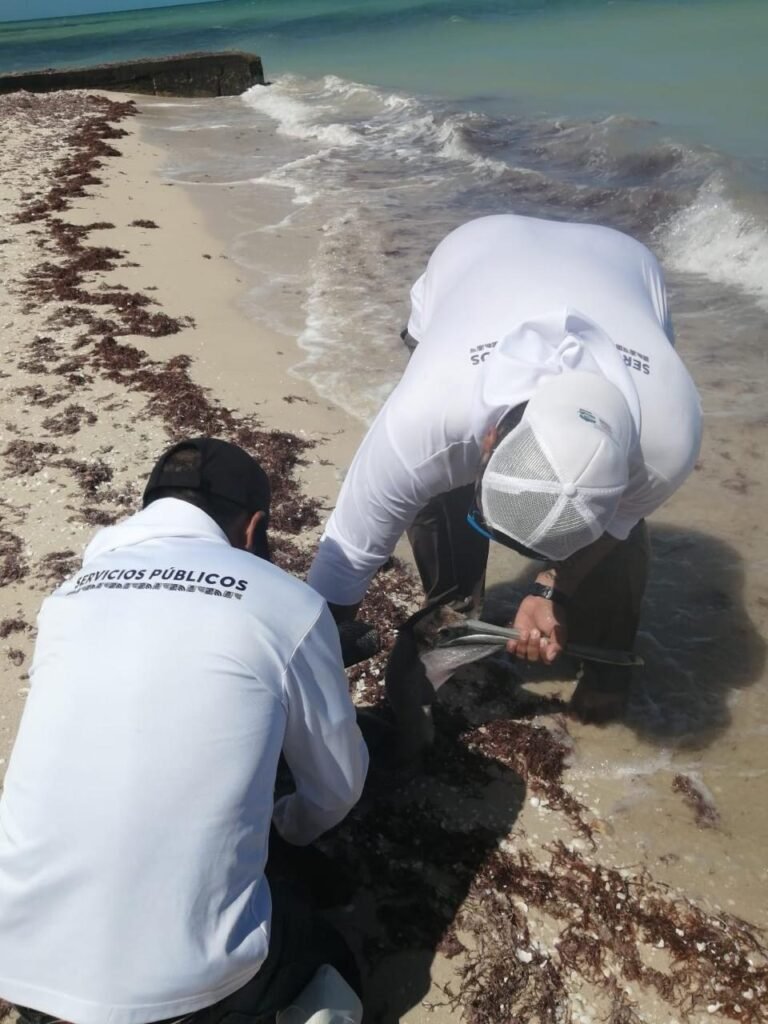 fbe928d5-9453-4146-8a2c-a0b153157ad4