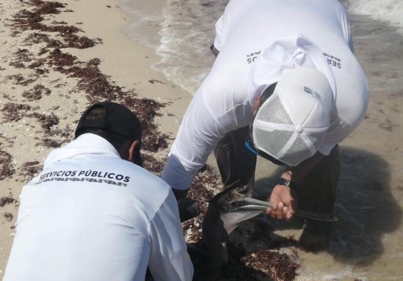 fbe928d5-9453-4146-8a2c-a0b153157ad4