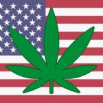 USA flag with a hemp leaf