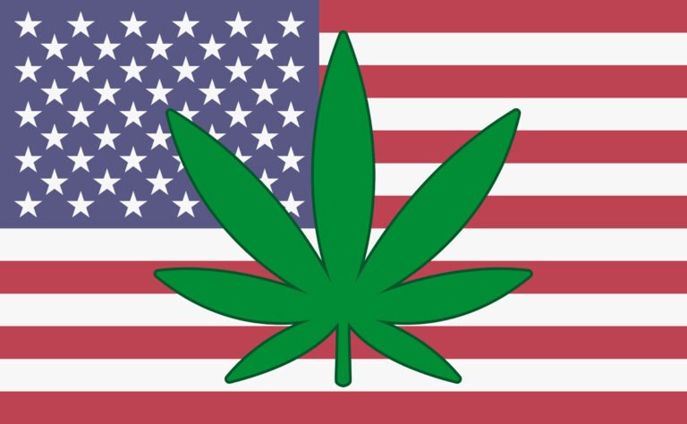 USA flag with a hemp leaf