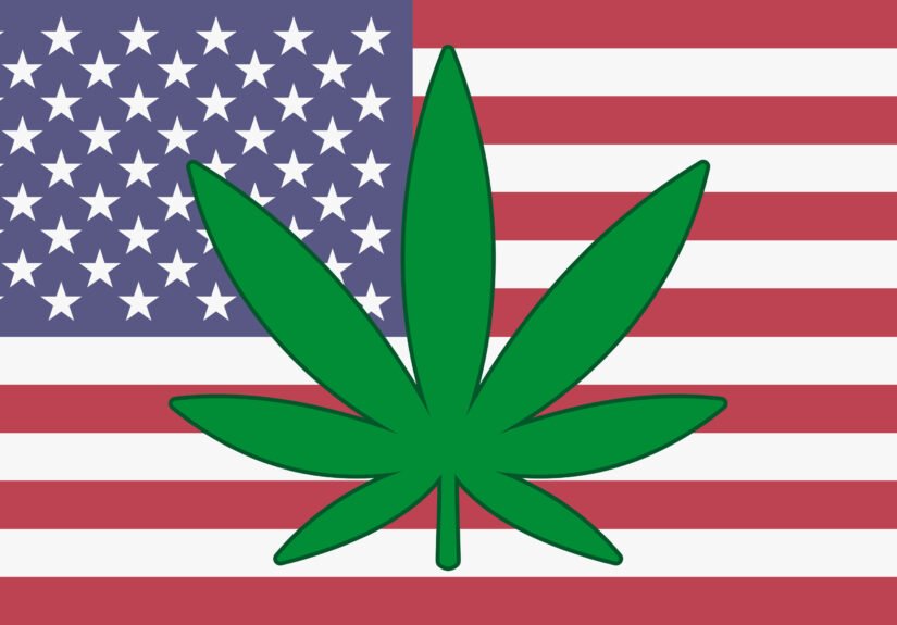 USA flag with a hemp leaf